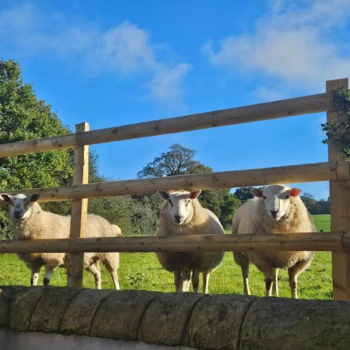 The Breckland At Sugar Lane Farm Villa Bollington Exterior photo